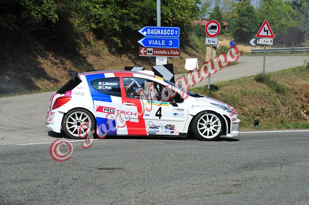 DSC_7308.jpg